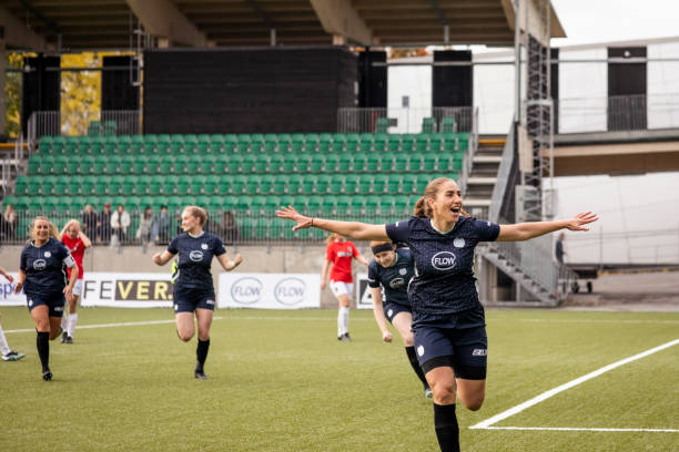 引进坎比亚 引进坎比亚